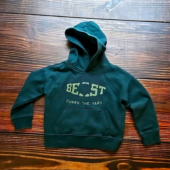 GAP PULLOVER HOODIE - Picture 1 of 6